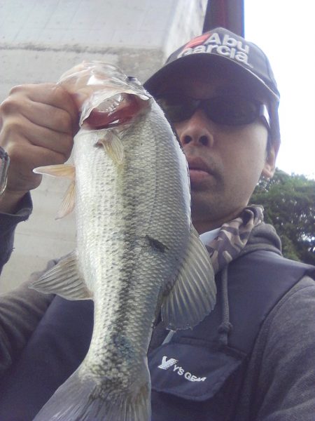 ちょっとお疲れ？