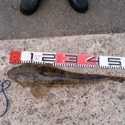 ウェーディング