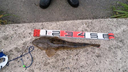 ウェーディング