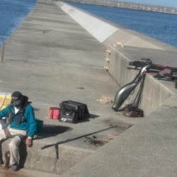 アジ釣れ出す・・グレも・・