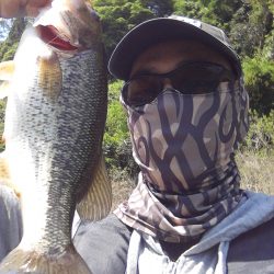 ちょっと注文多め?