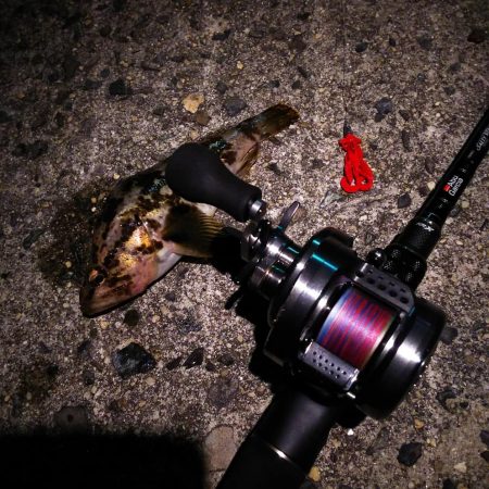 マゴチ狙いのはずが…