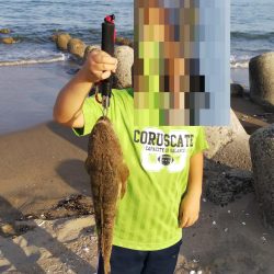 息子のマゴチ初ヒット