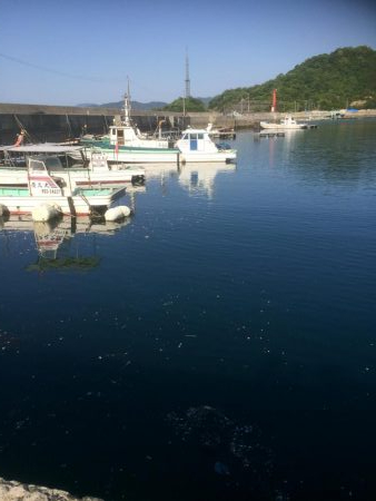 マイクロワインド