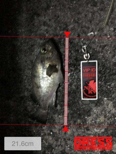 家族サービス後の夜釣り