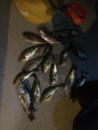 雨の日メバリング