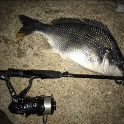 アクション変えたら