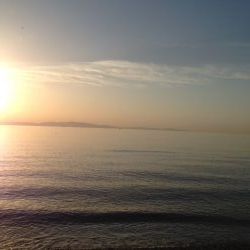 人、人・ボラ、ボラ　泉南2018開幕かな