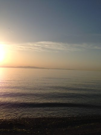 人、人・ボラ、ボラ　泉南2018開幕かな