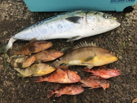 祝発売　ジグパラ　TG　６０ｇ　