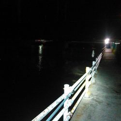 弁天島　エサ釣り