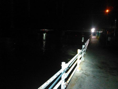 弁天島　エサ釣り