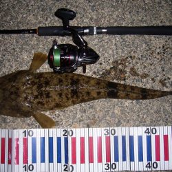 ワームのチョイ投げにて