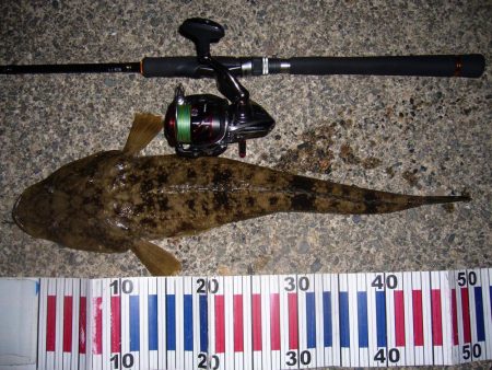 ワームのチョイ投げにて