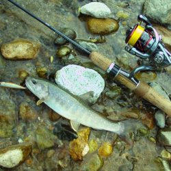 渓流ミノーイング