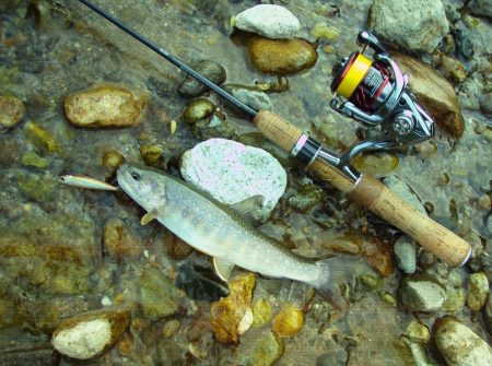 渓流ミノーイング