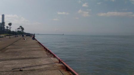 もう少しかかるかな?