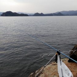 ガッシーつれた！