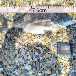 最後ののぞみをかけて