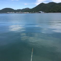 アブラメ新子＆根魚