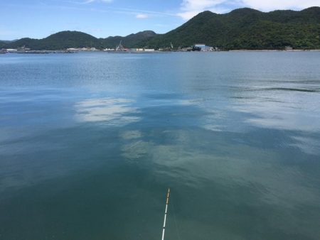 アブラメ新子＆根魚