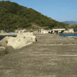 久しぶりのアジング