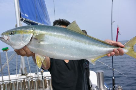 ジギング船 BLUEWATER 釣果