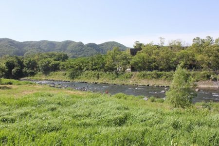 狩野川(狩野川漁業協同組合) 釣果