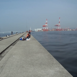 ポーアイ沖堤、激混激渋