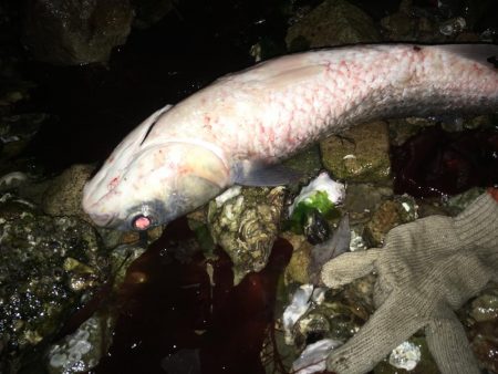 雨が降ってもそれでも釣りに行く