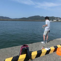 サビキ釣り＆チョイ投げ