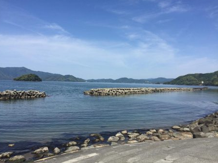 釣りシーズンスタート