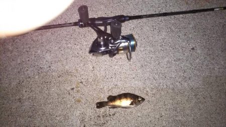 安定のメバリング