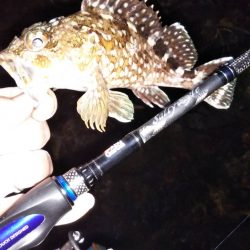 苦手な江井ヶ島で得意の小潮メバリング