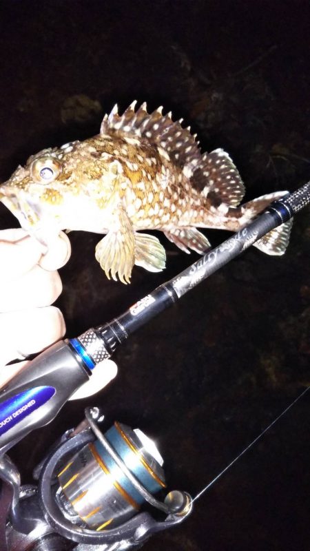 苦手な江井ヶ島で得意の小潮メバリング