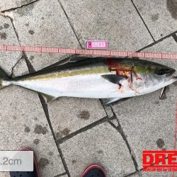 90㎝越えブリGET！！