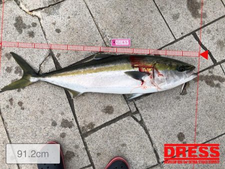 90㎝越えブリGET！！
