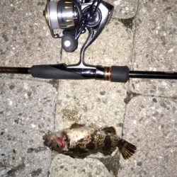 南芦屋浜〜シーバスの呪縛〜