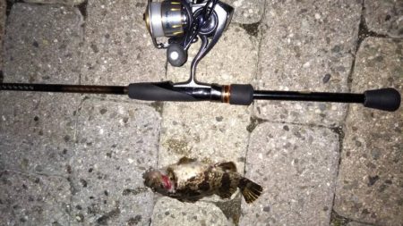 南芦屋浜〜シーバスの呪縛〜