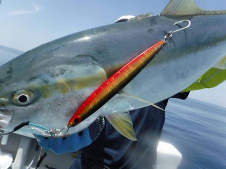 スーパーコーリンで青物ジギング