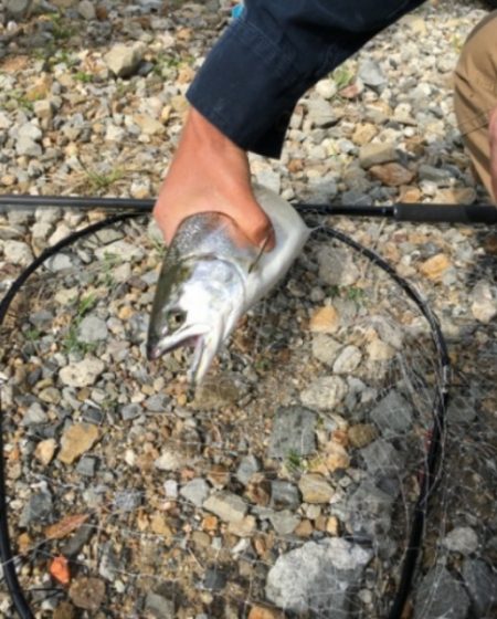 まさかの魚が釣れました