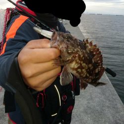 底でガシラ、際でキビレ