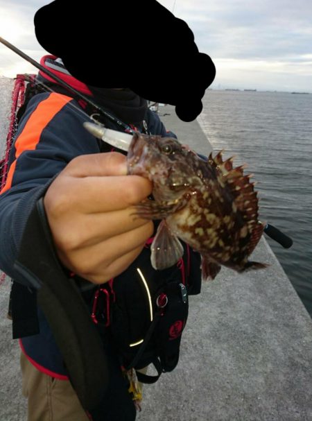 底でガシラ、際でキビレ