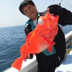 土佐安芸のハマちゃん