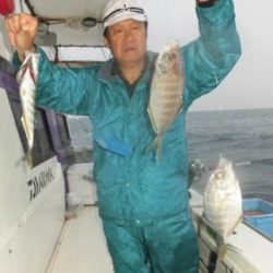 土佐安芸のハマちゃん