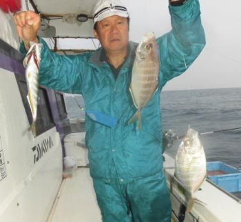 土佐安芸のハマちゃん