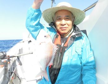 土佐安芸のハマちゃんの釣果