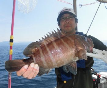 土佐安芸のハマちゃんの釣果