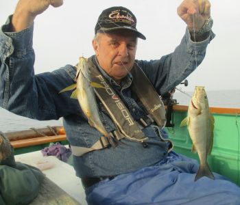 土佐安芸のハマちゃんの釣果