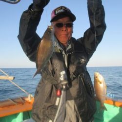 土佐安芸のハマちゃんの釣果